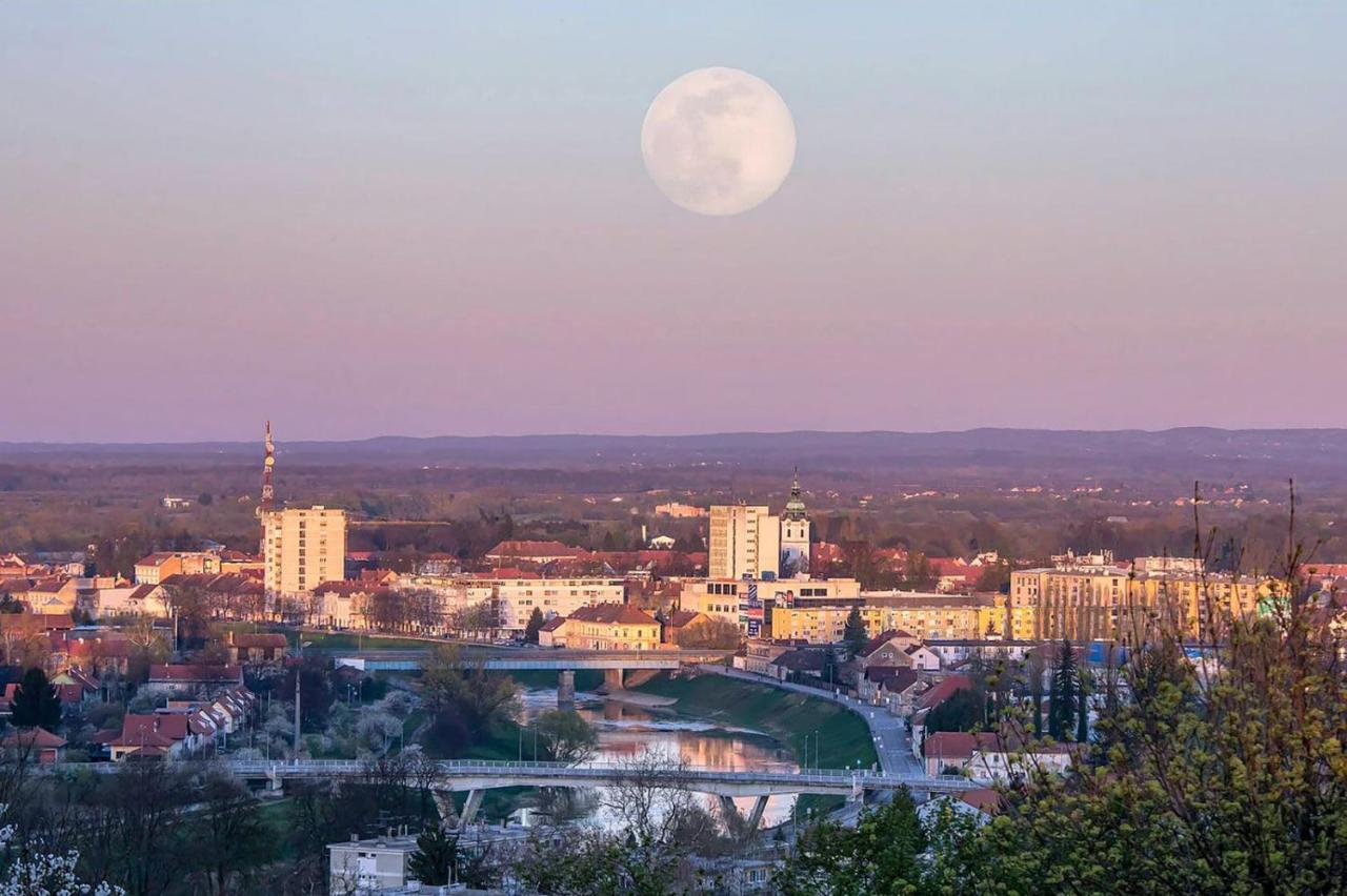 Studio Apartman Four Pearls Karlovac Bagian luar foto